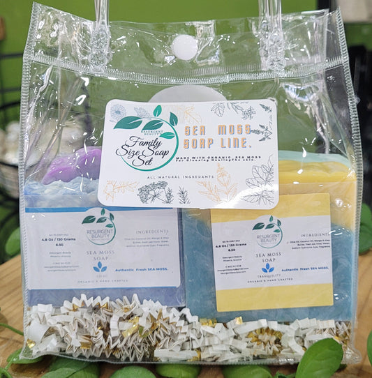 Sea moss family pack